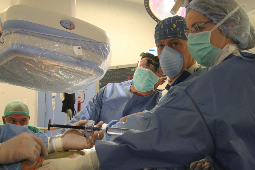 Constituida la primera Junta Directiva de CITENDO img 7859