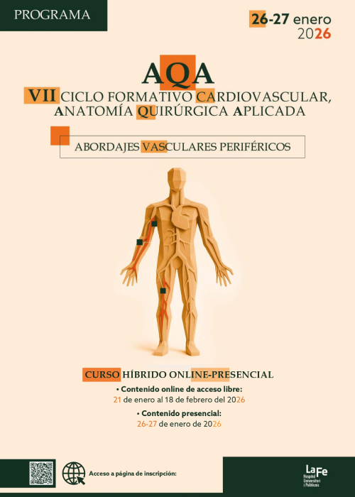 Abordajes vp programa