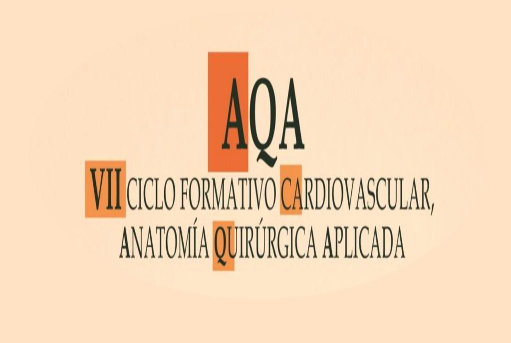 El Hospital La Fe organiza el VII Ciclo Formativo Cardiovascular centrado en la aorta y los abordajes vasculares periféricos curso vii aqa