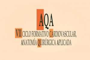 El Hospital La Fe organiza el VII Ciclo Formativo Cardiovascular centrado en la aorta y los abordajes vasculares periféricos